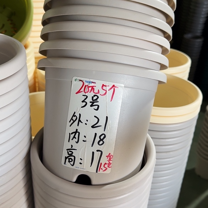 微瑕3#灰白10个无托