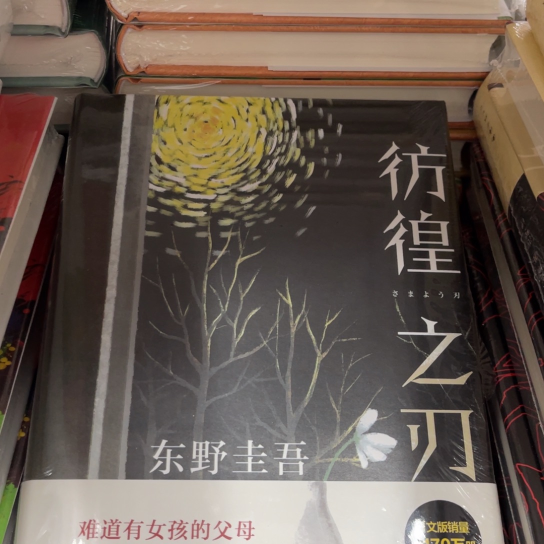 彷徨之刃精装一个