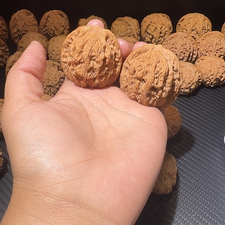 核桃42➕麦穗大虎头