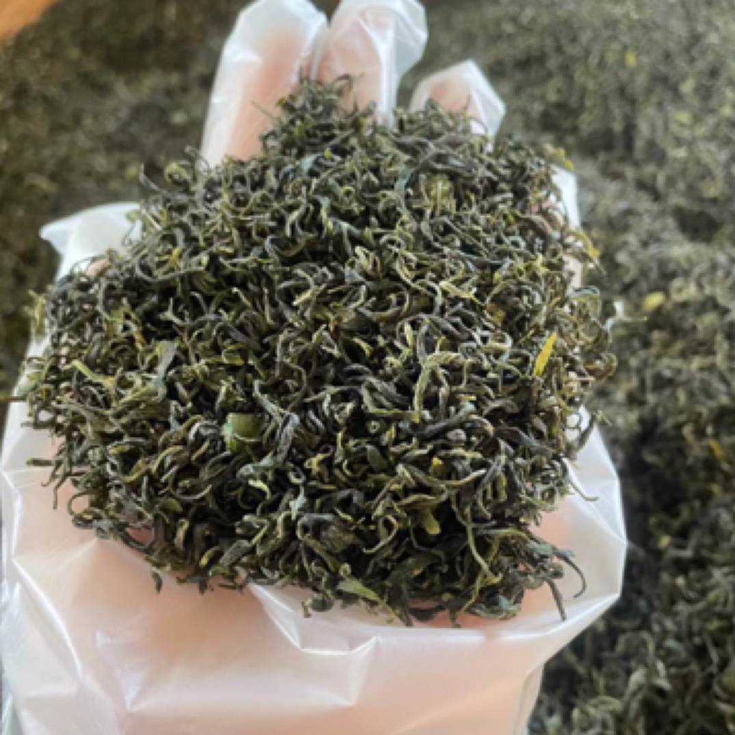 2025年春茶新茶 崂山绿茶五月大田手工碧螺春 浓郁