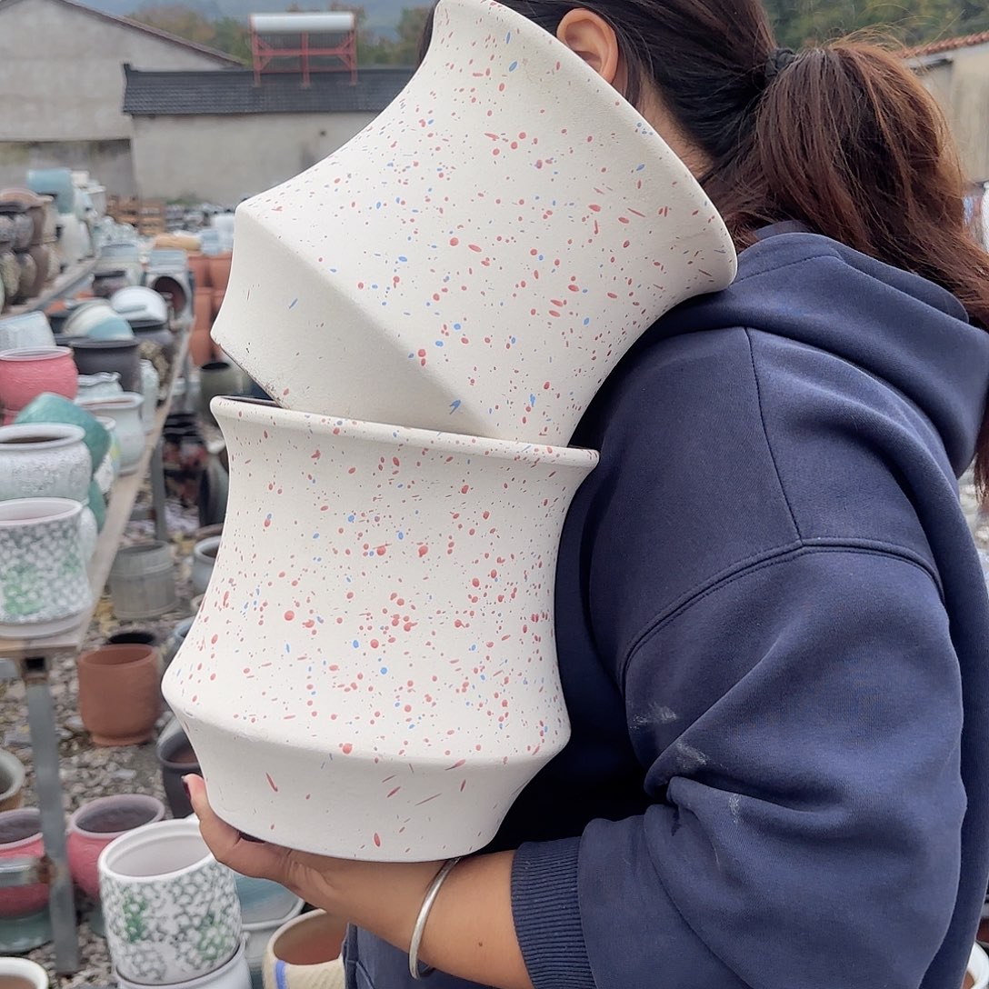 粉白小蛮腰两个口径20高度20