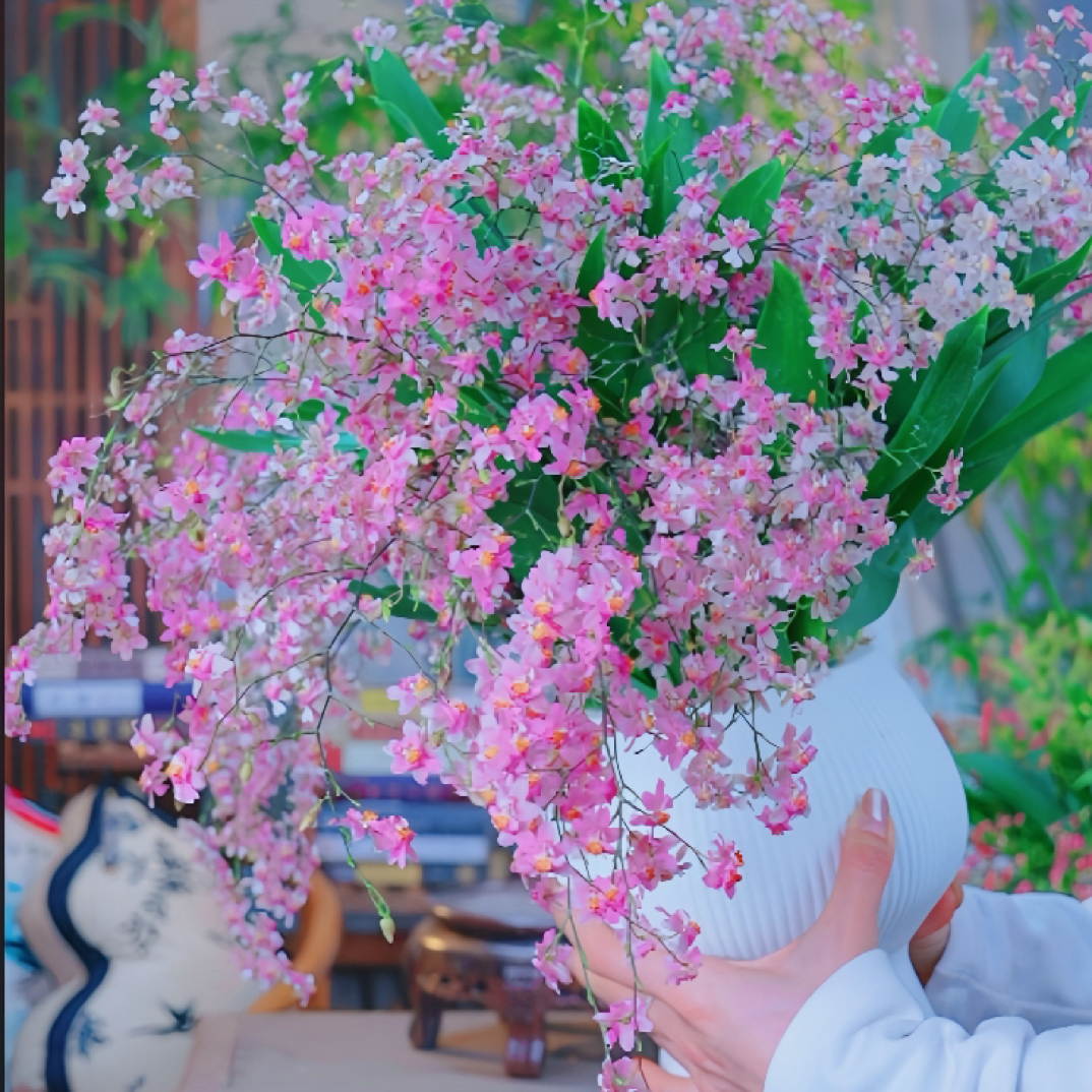 ［京东快递］10-15支花剑 粉色梦香兰浓香型130杯懒人网红文心兰