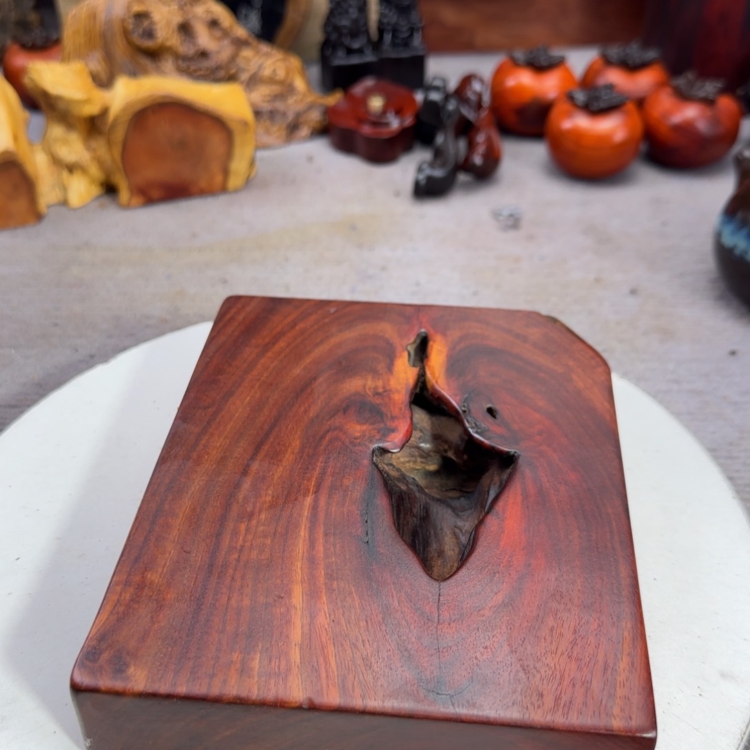 大果紫檀（缅甸花梨）徜**生