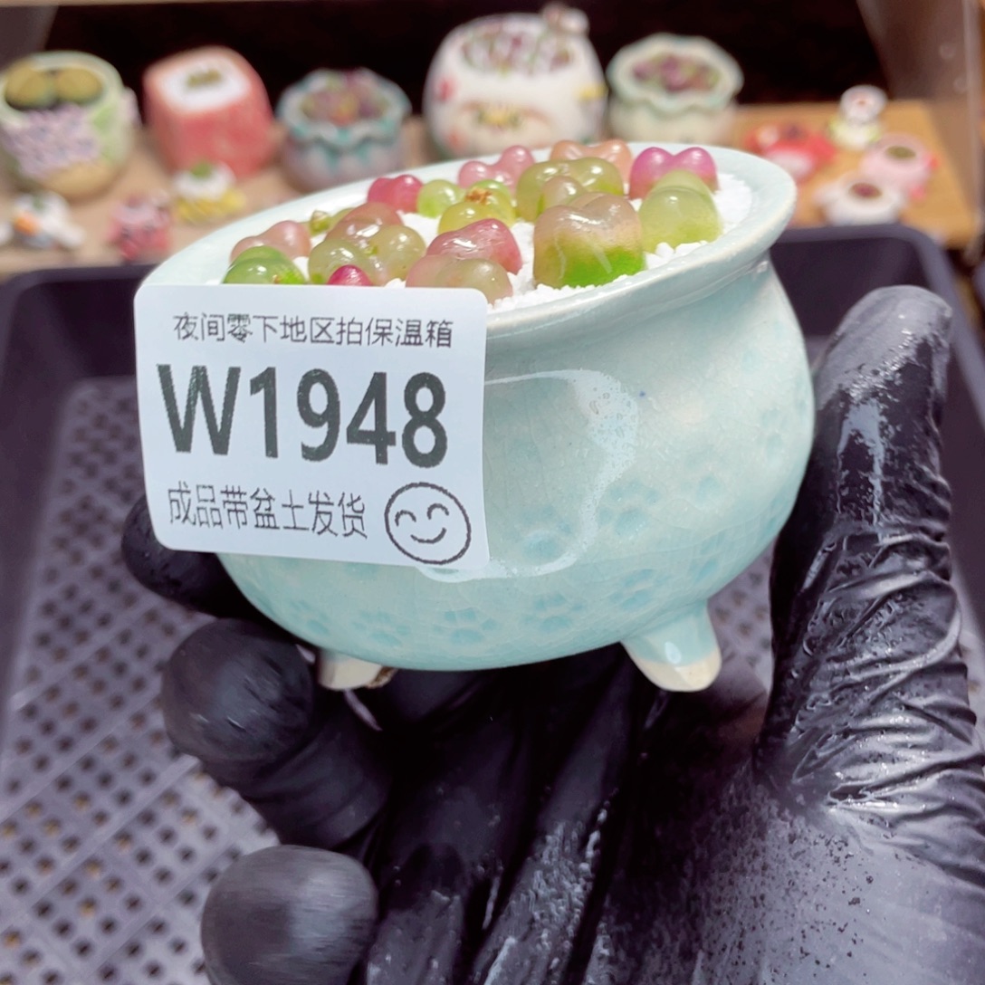 夜间零下地区拍保温箱w1948