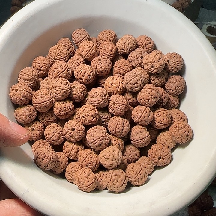 金刚菩提吊坠老树王散籽非全品15+100