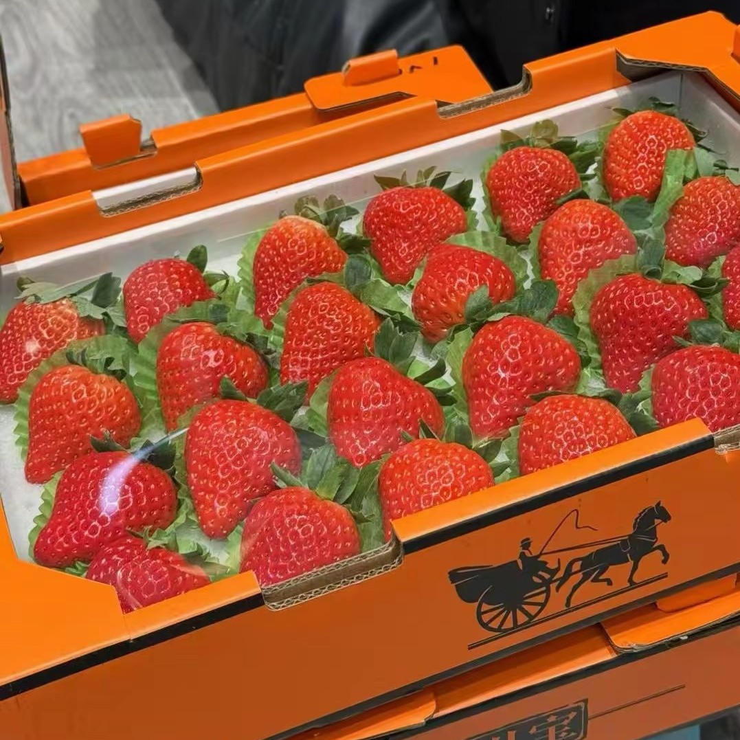 爱马仕盒装九九草莓约2斤安徽省