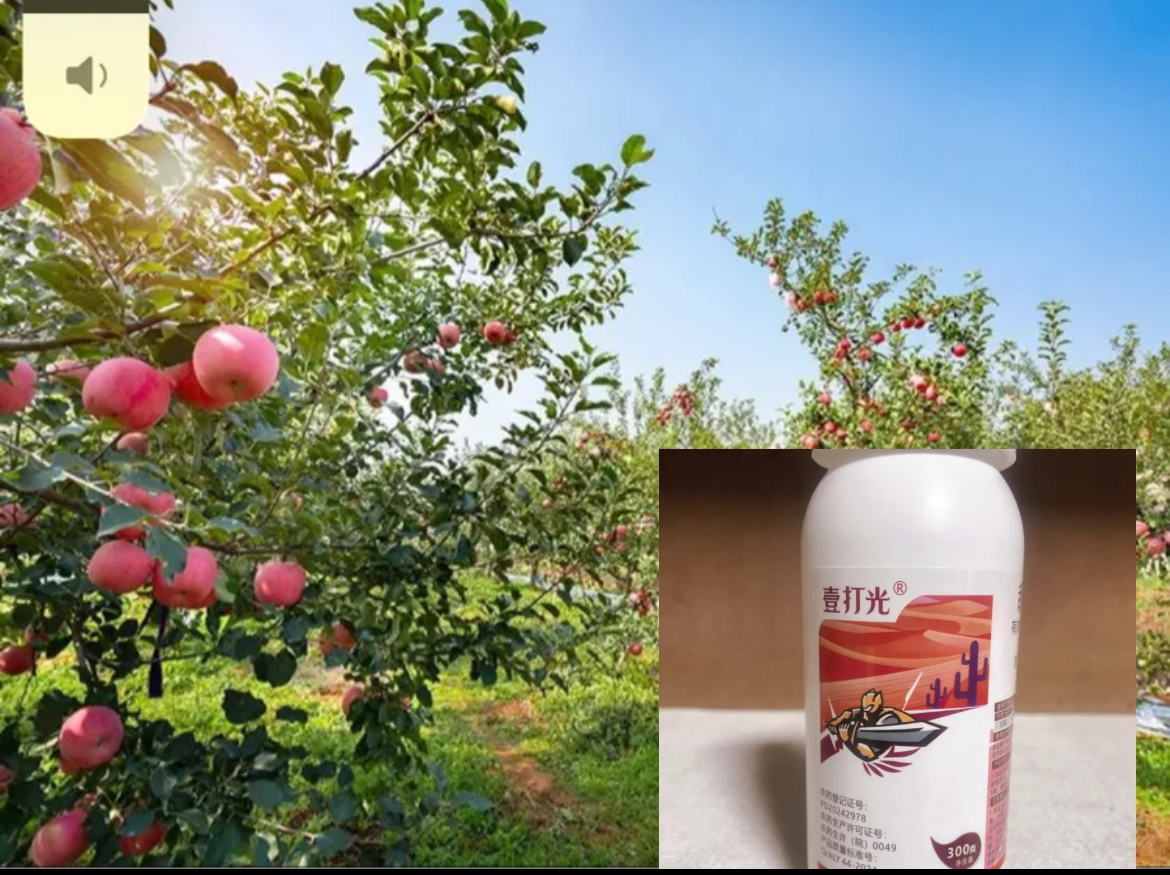 叶面肥敌畏一瓶300克（一瓶兑水1200斤）