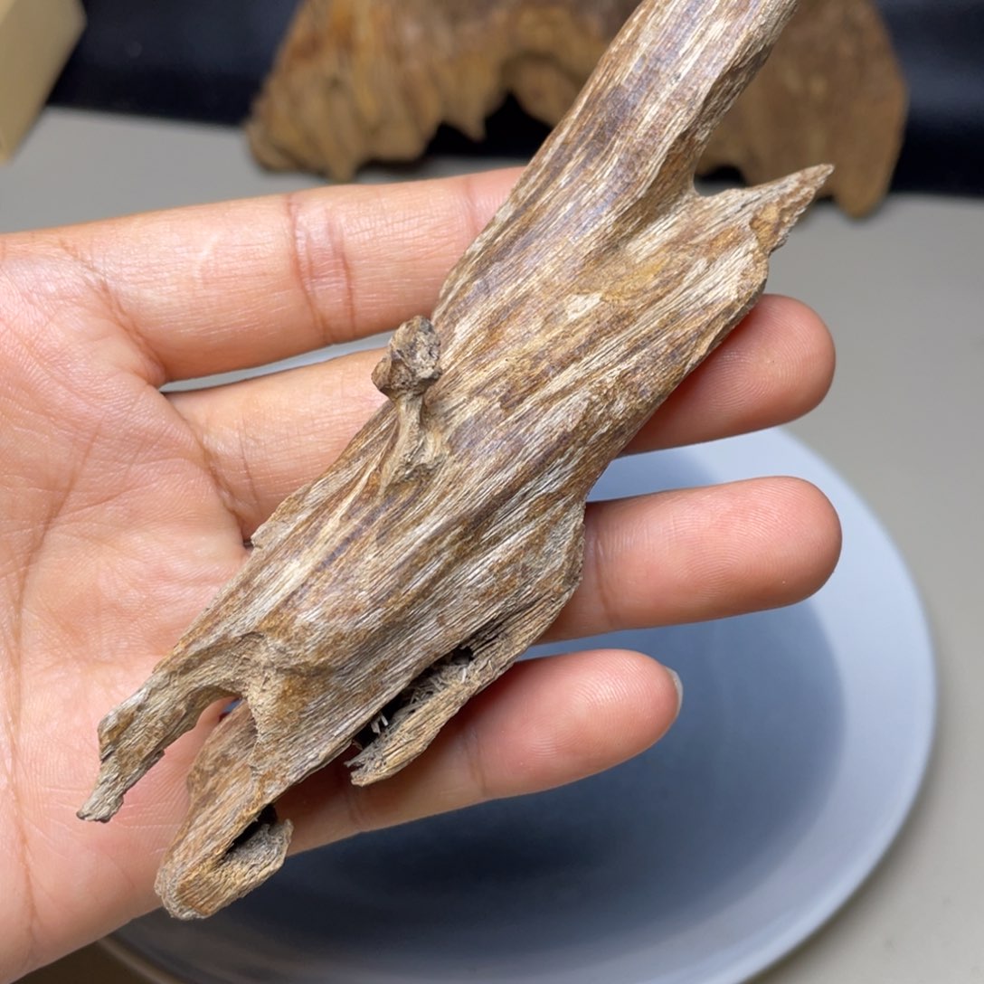 香榧木海南竹木根雕木料15克