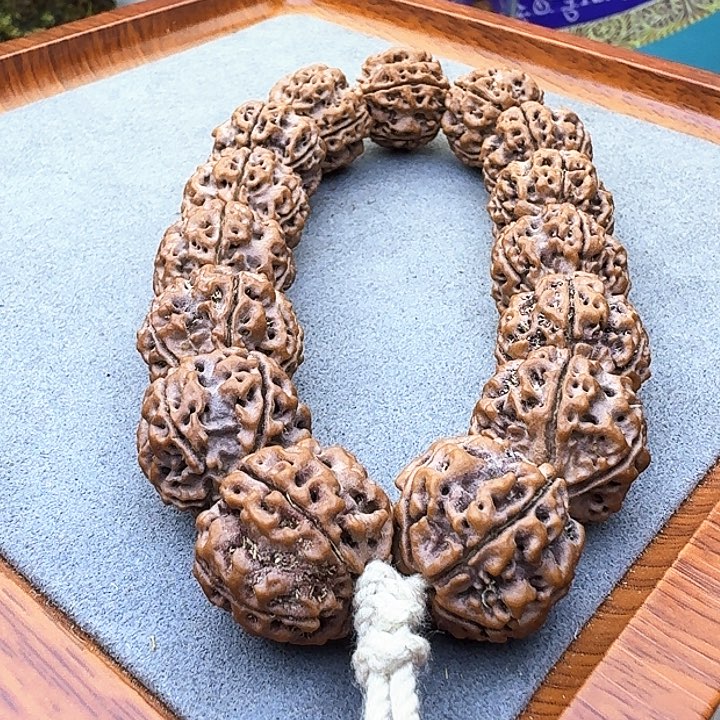 金刚菩提手串安娜蜂窝双龙