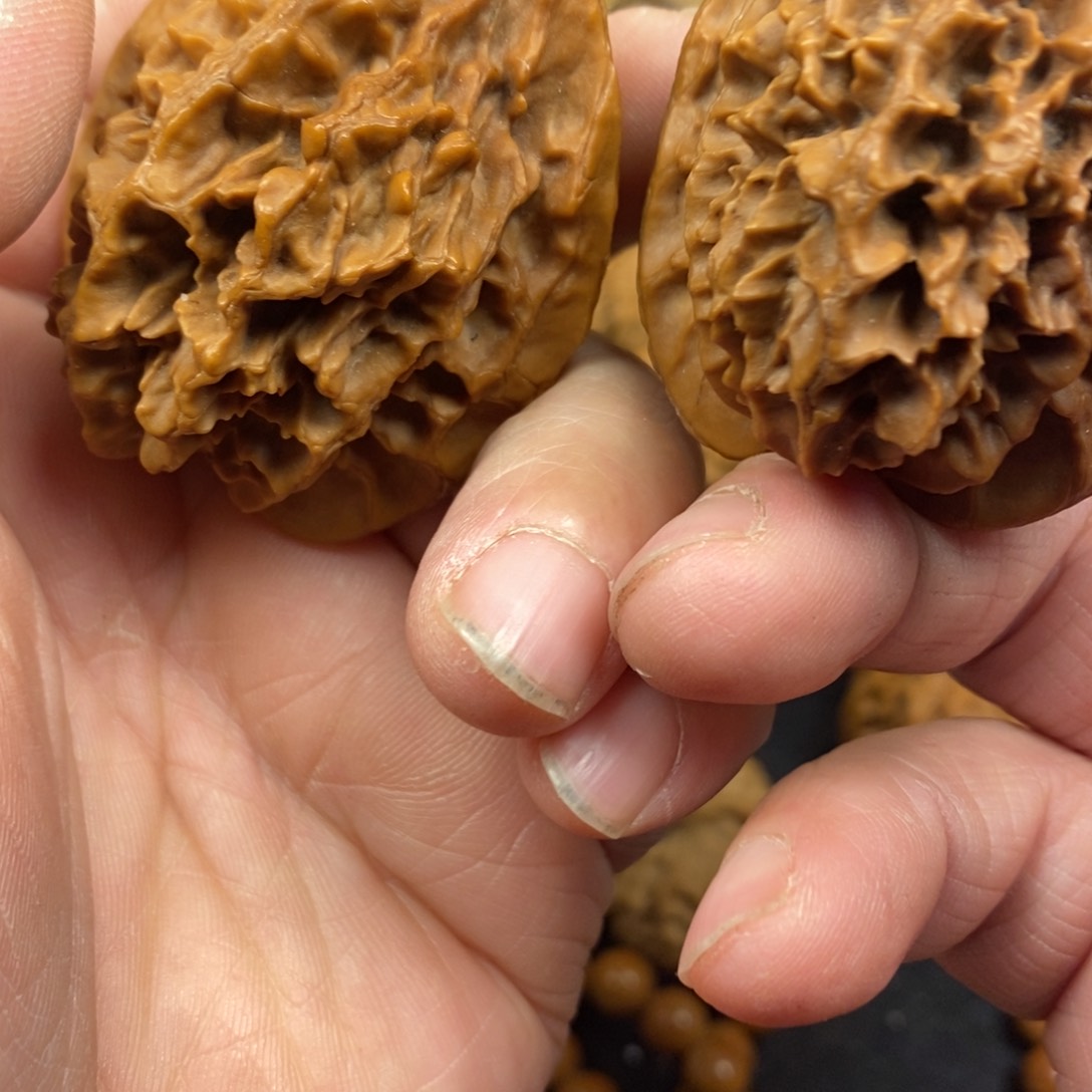 _***菜秦岭南侧和东北北部分别