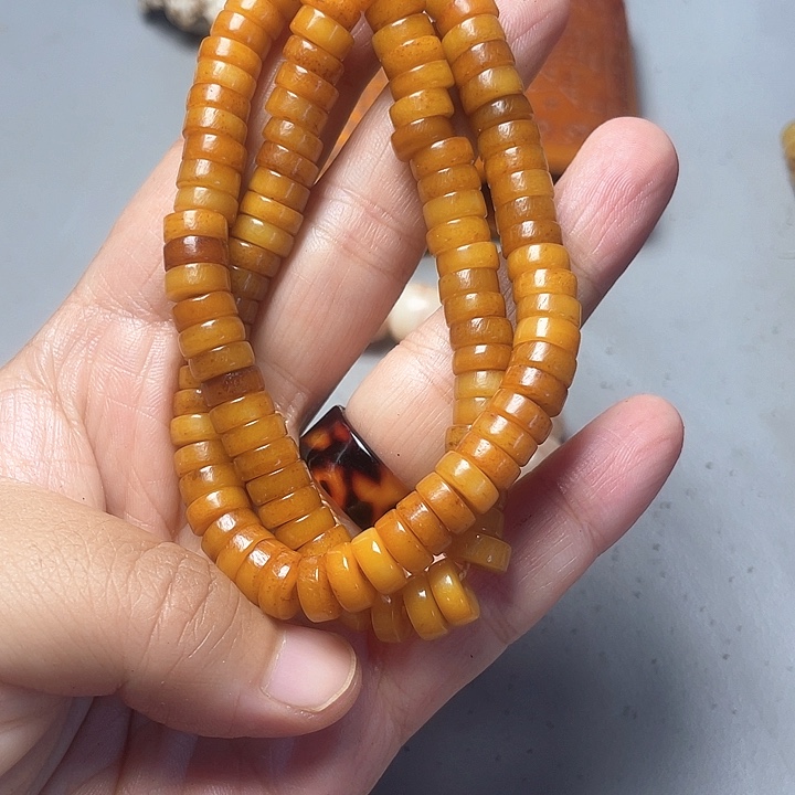 大果紫檀（缅甸花梨）