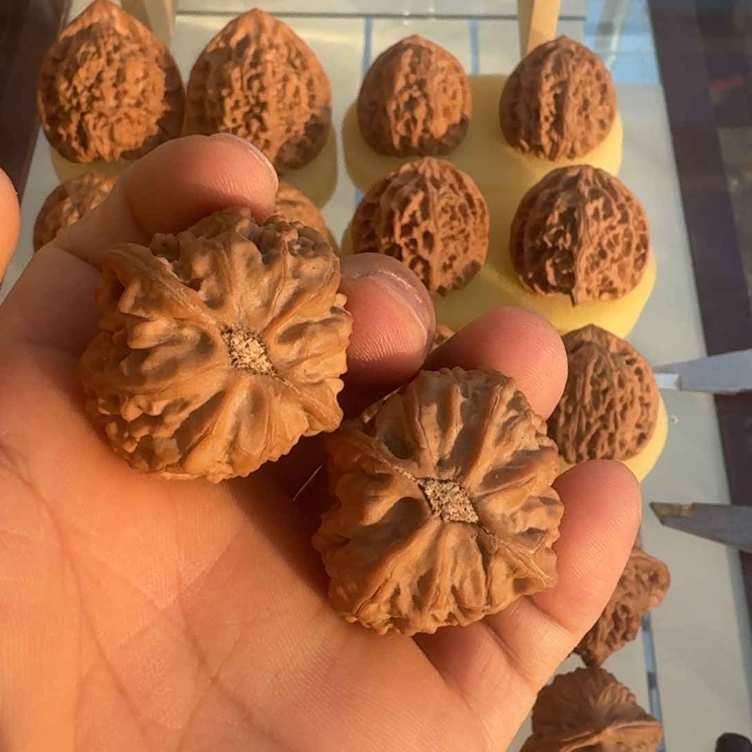 雷***Ω核桃文玩核桃战马35