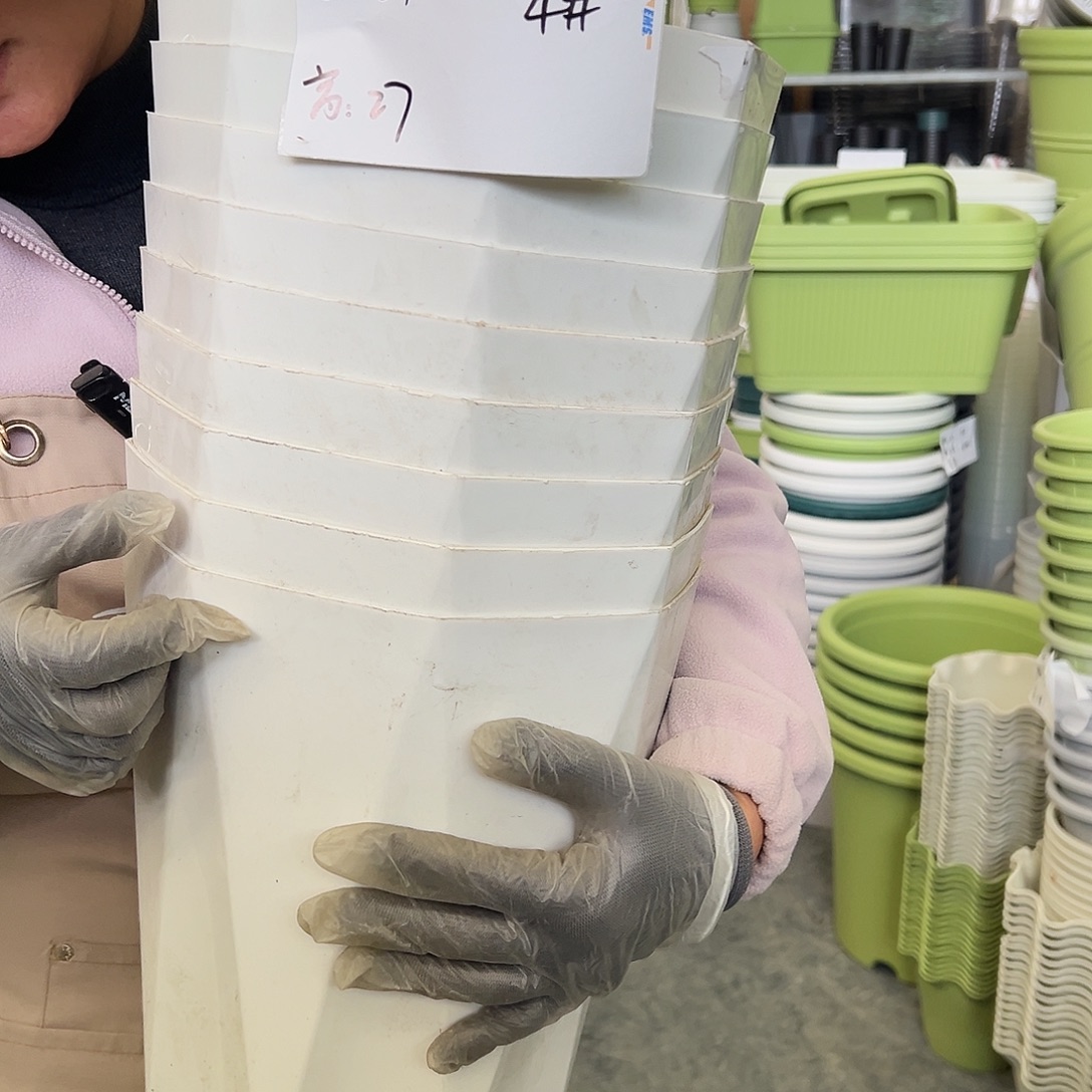 瑕疵钻石4#白色5个无托