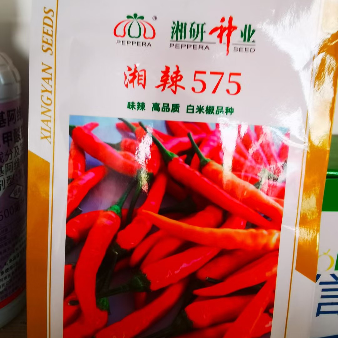 湘妍575泡椒小米辣。