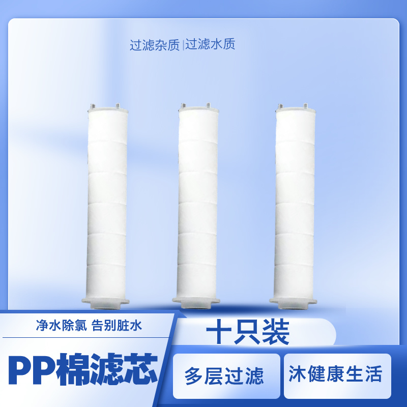 一次性增压花洒过滤滤芯净化水质滤芯