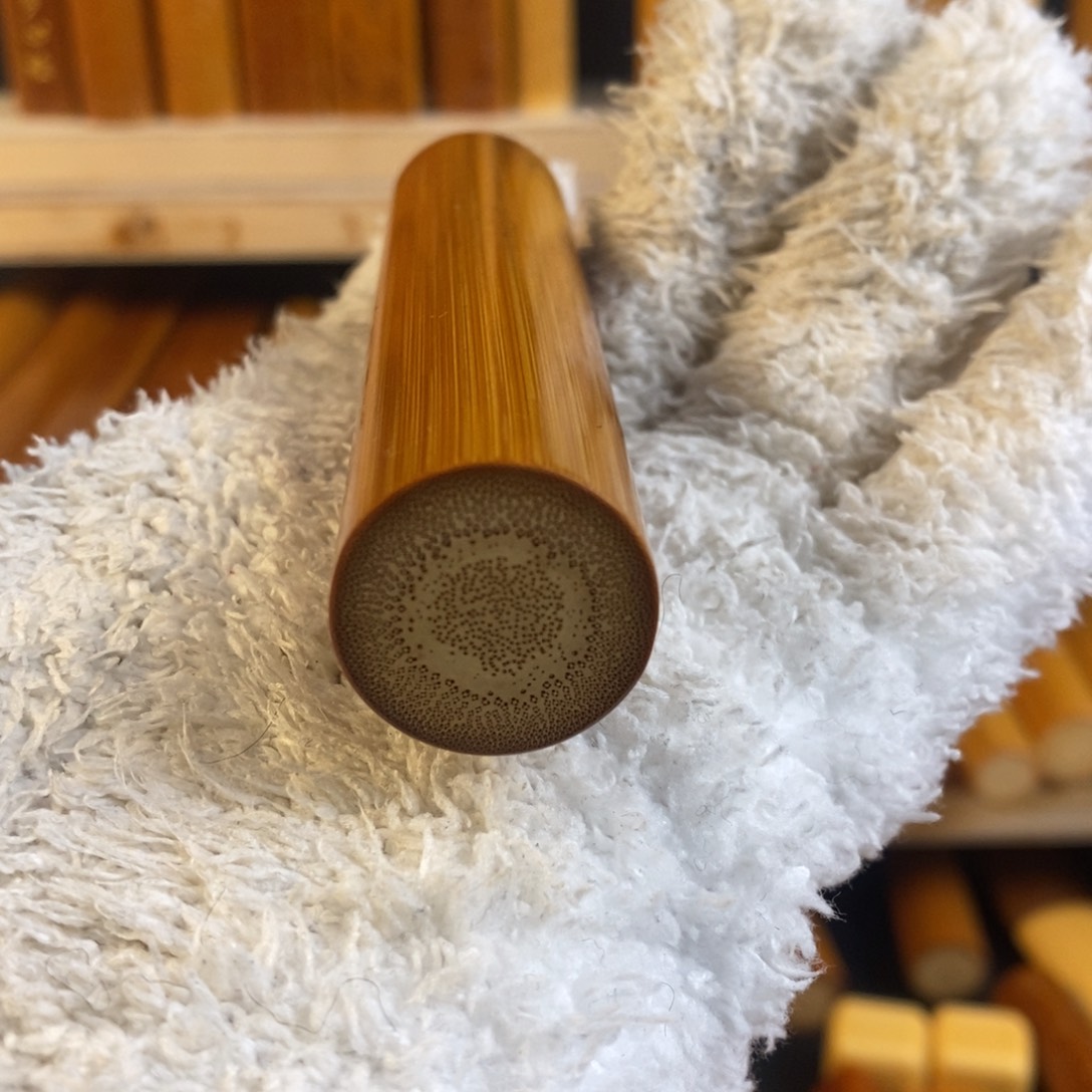 竹实心玉竹 一物一图