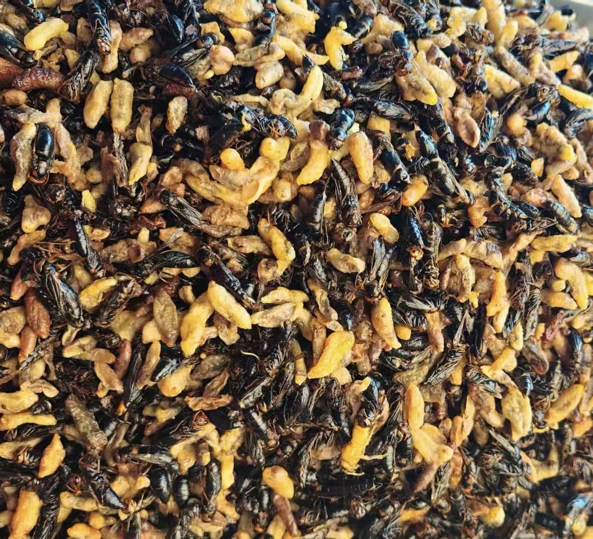 3-4级新鲜现炸树蜂蛹（吃香脆黑蜂新老蜂的推荐）纯菜籽油炸