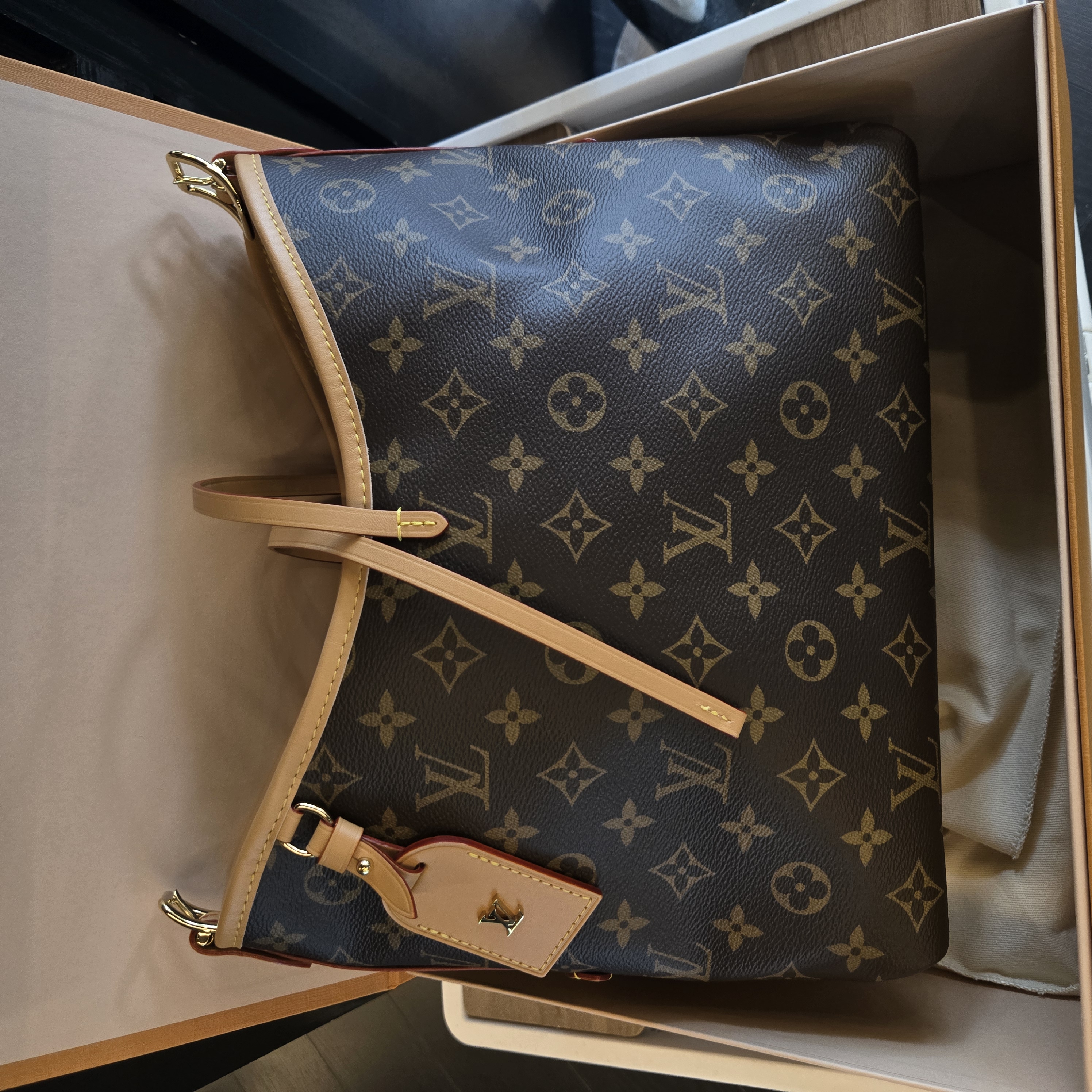 未使用 LouisVuitton/路易威登 老花carryall小号单肩斜挎包全新