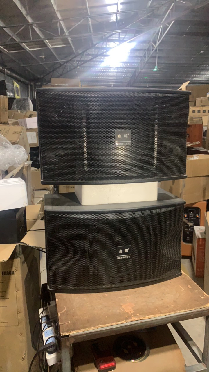 未使用  森鸣一对10寸三分频无源卡包，需要接功放机使用