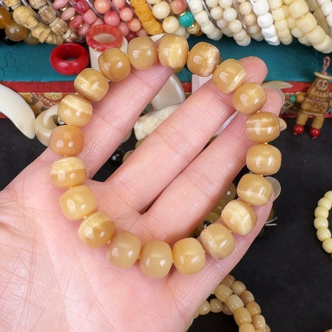 牛骨其他马骨11*10老型单圈