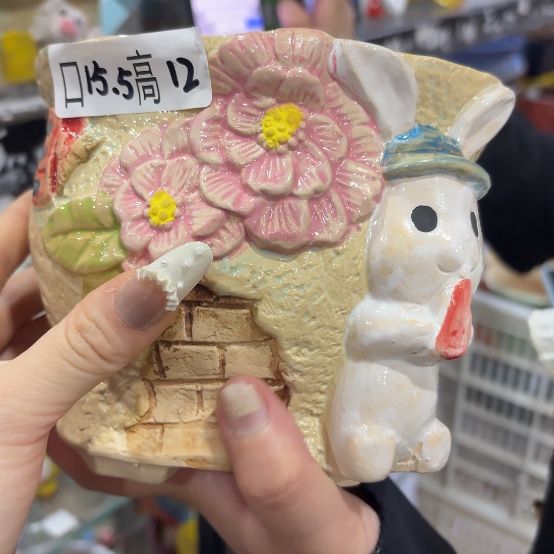 本场直播满百送个盆