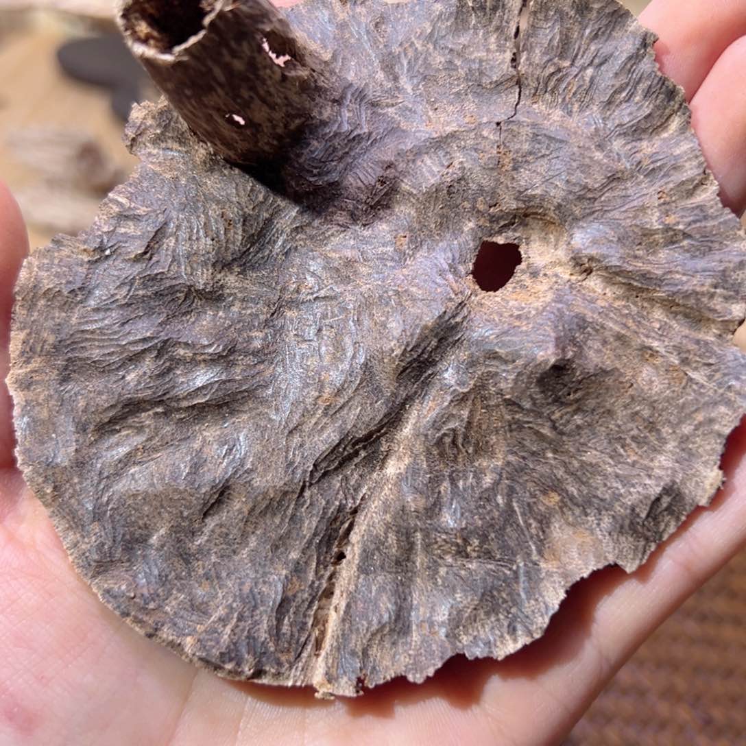 【闪购商品】香榧木海南木料尖峰岭老包壳9克