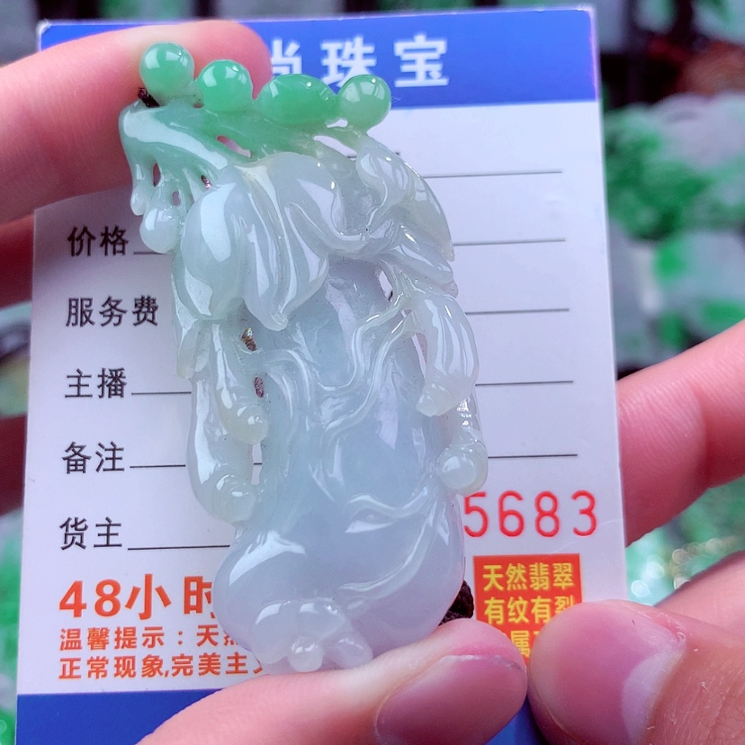 【闪购商品】翡翠颈饰未镶嵌挂件
