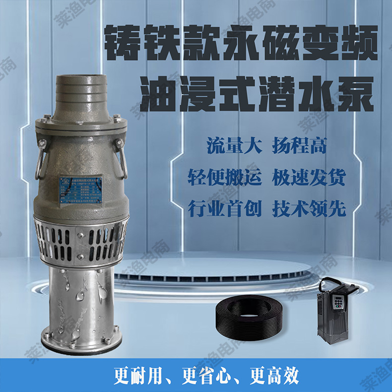 莱渔智能铸铁永磁潜水泵高效节能2.5寸4寸6寸高扬程变频灌溉农用
