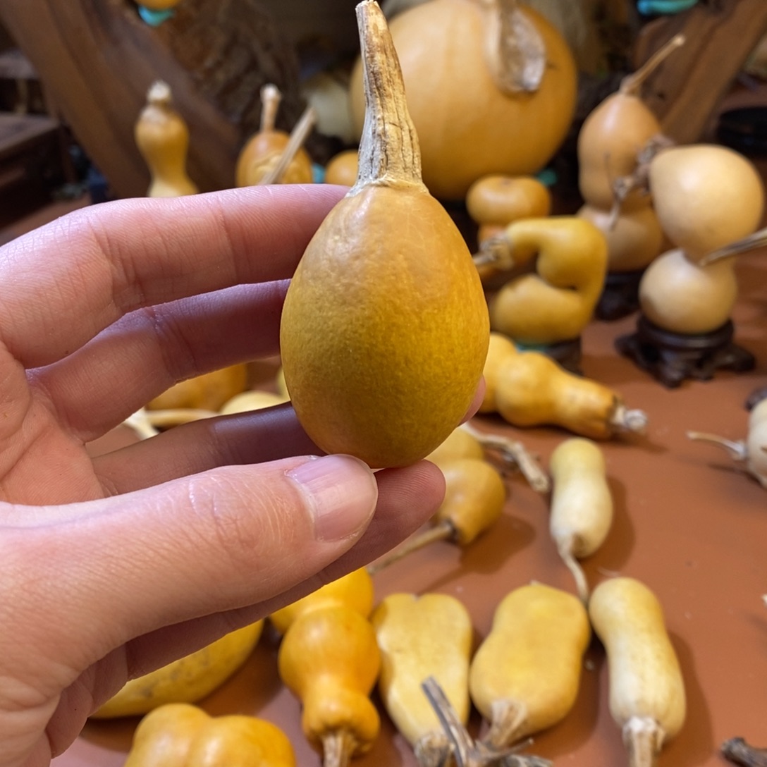 平***海教练教练教练教练经理