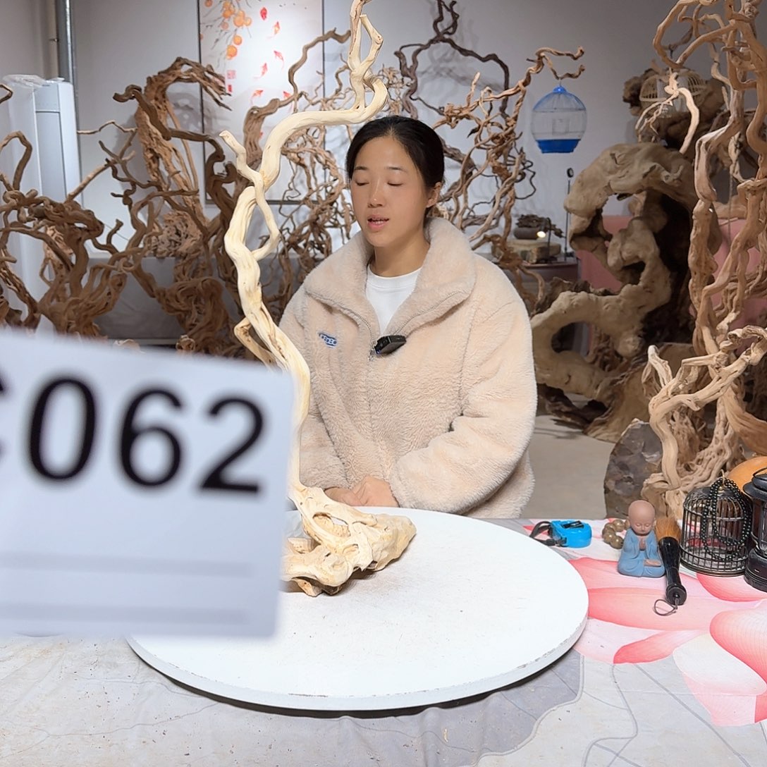 风车木（黑檀木）岁**好