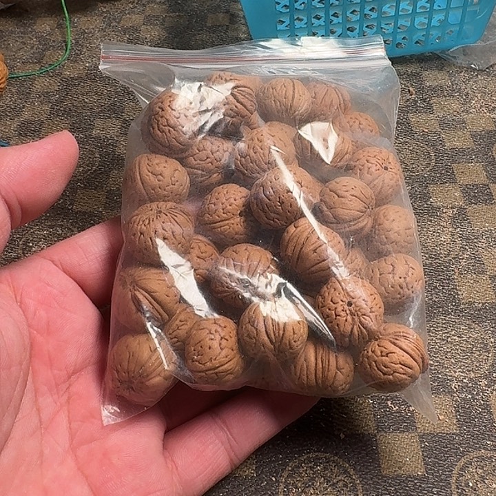 人***己桃核吊坠7666666666666