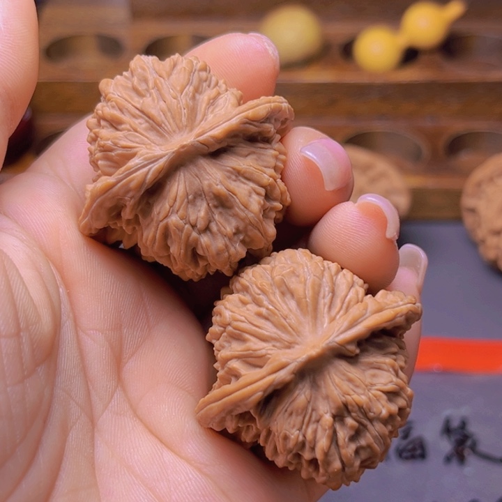 核桃专用链接，福利四座楼练手对不退不换