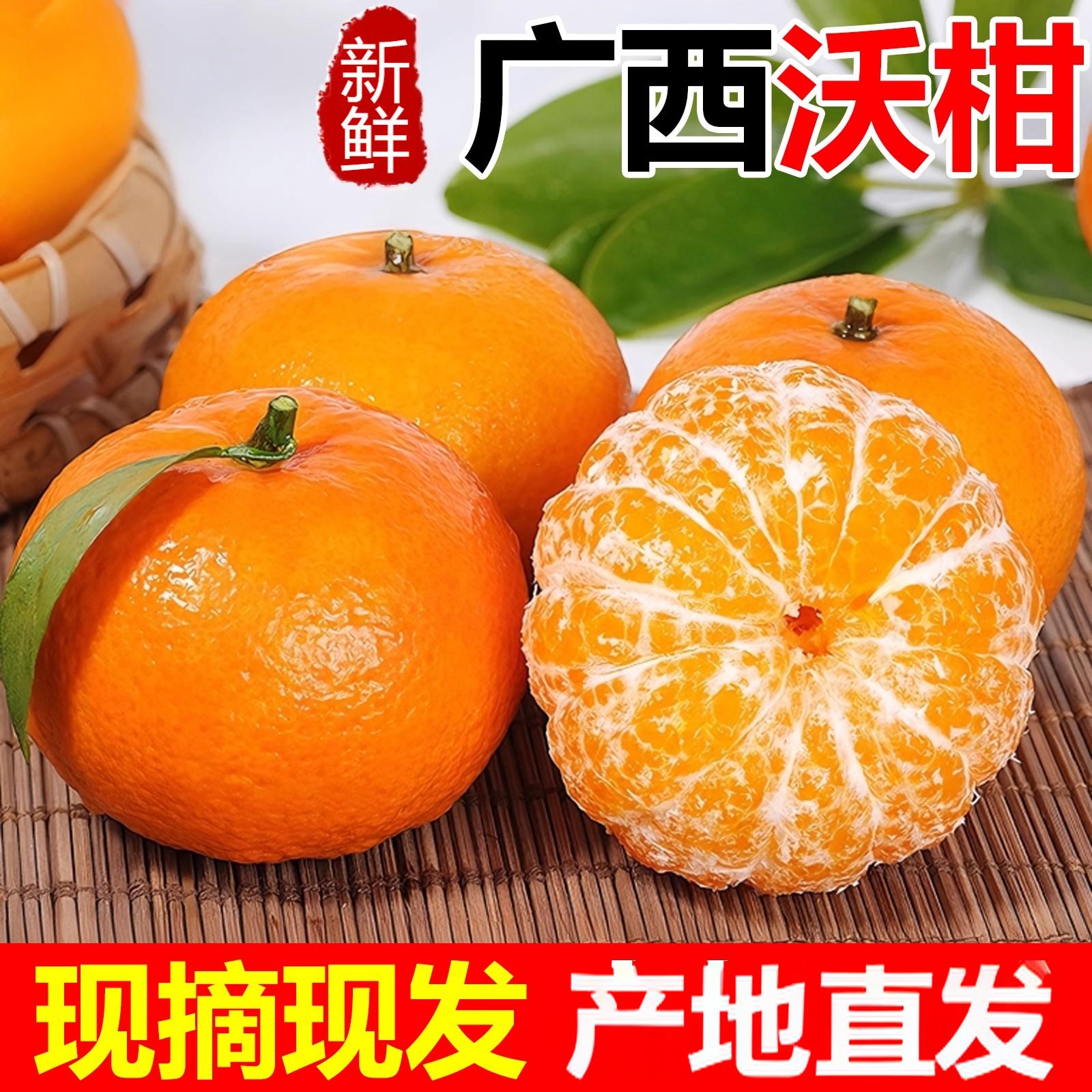 广西武鸣沃柑甜度高水分足果肉嫩应季现摘现发产地直发