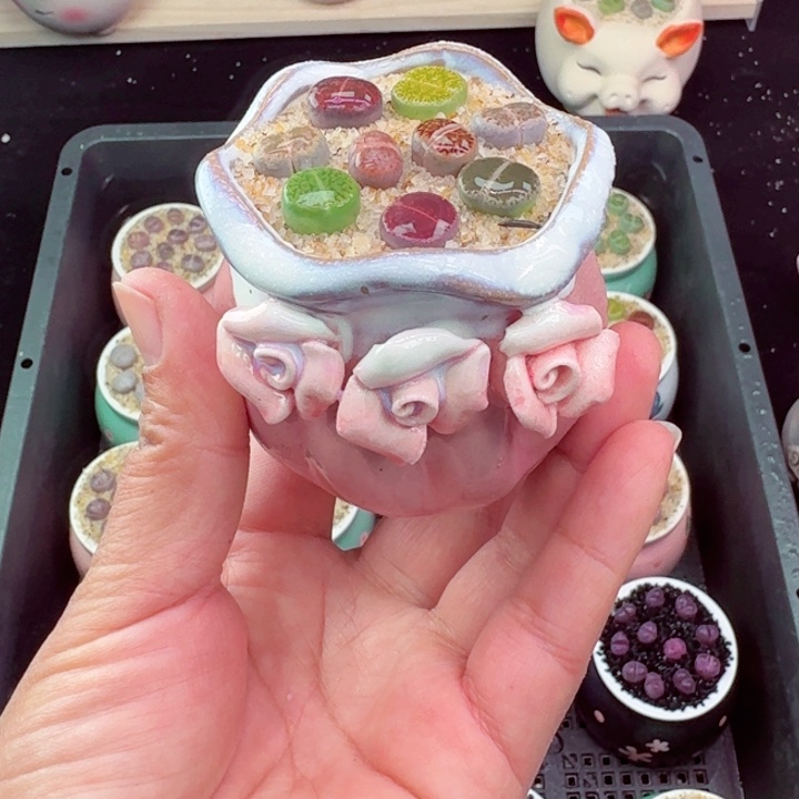 840凑满8包邮零下地区记得拍保温箱