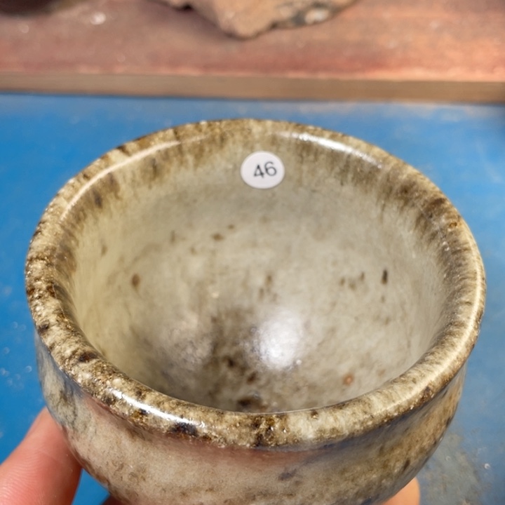 茶宠盏盏灯都是我的爱啊我