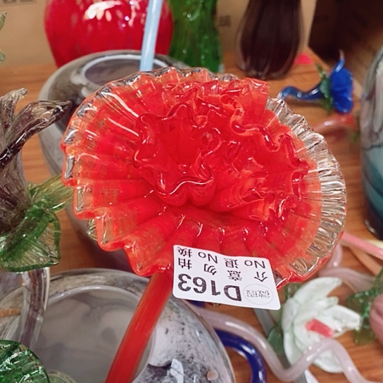 琉璃夜光花高45厘米