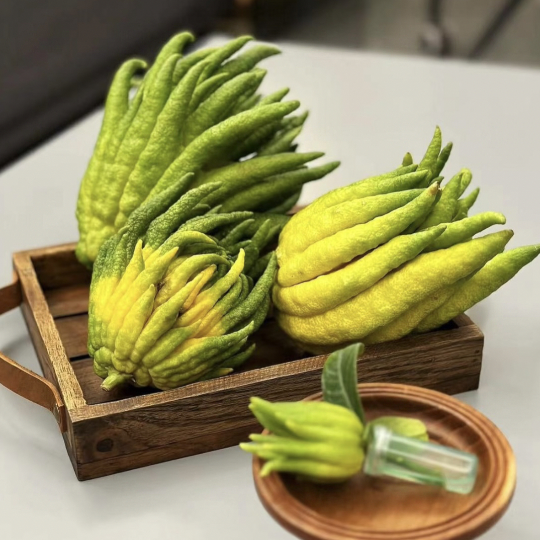 【新人必买佛手柑】1-2个闻香果 等 800g-1000g（发中通）