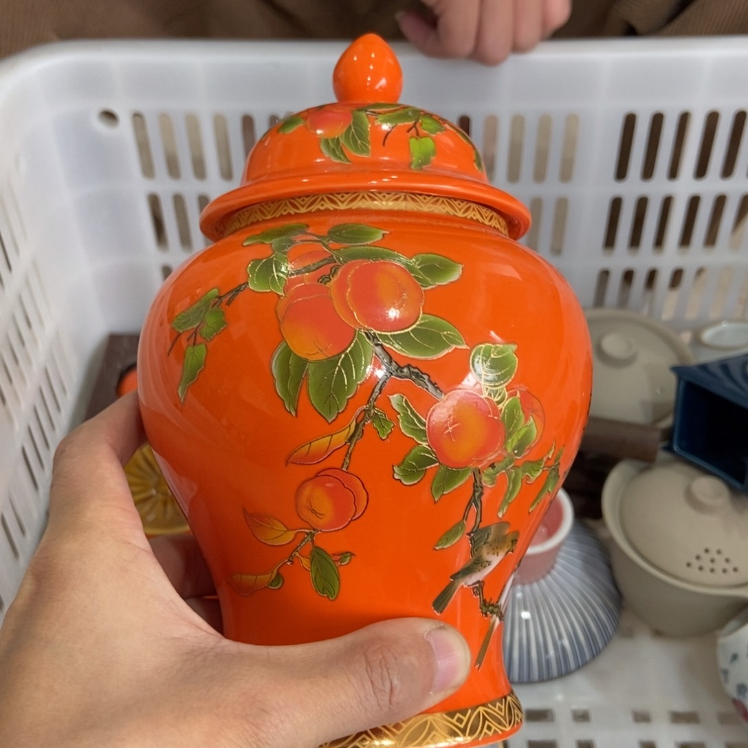 杯直播链接直播链接