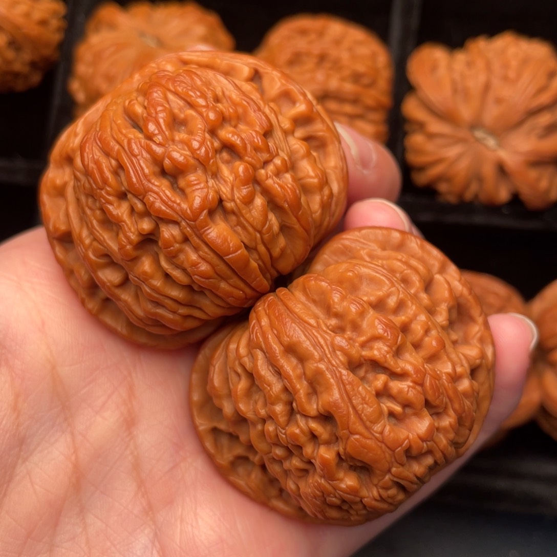 秦岭野生文玩核桃