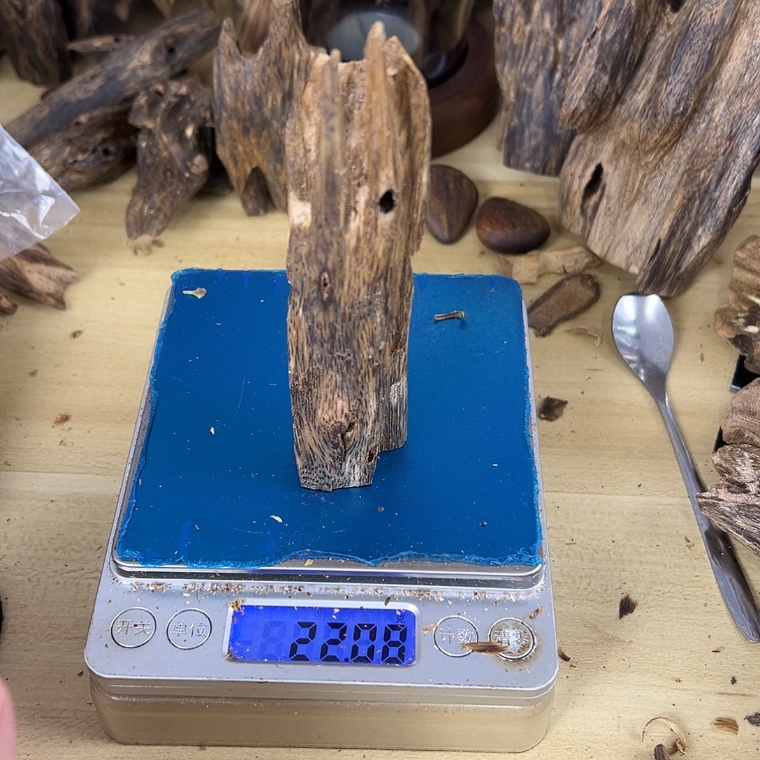 香料绿棋楠虫漏22克金沙叶