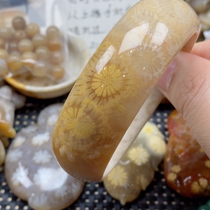 硅化珊瑚（珊瑚玉）颈饰未镶嵌