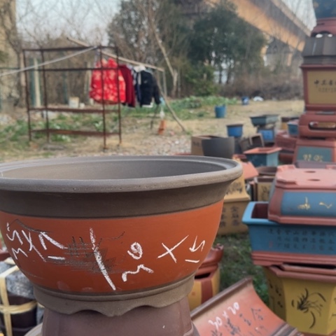 红陶紫砂花盆盆景盆栽