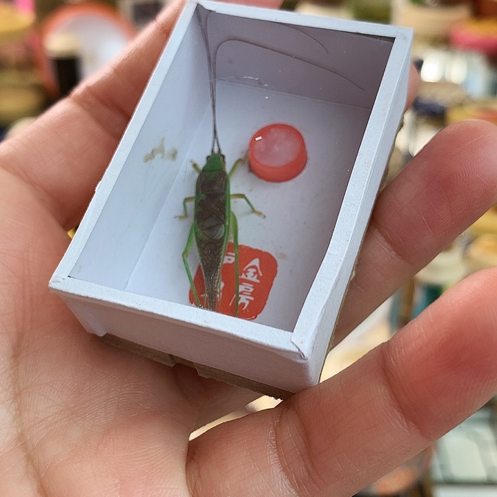 童***趣霍式一只啊啊啊啊啊