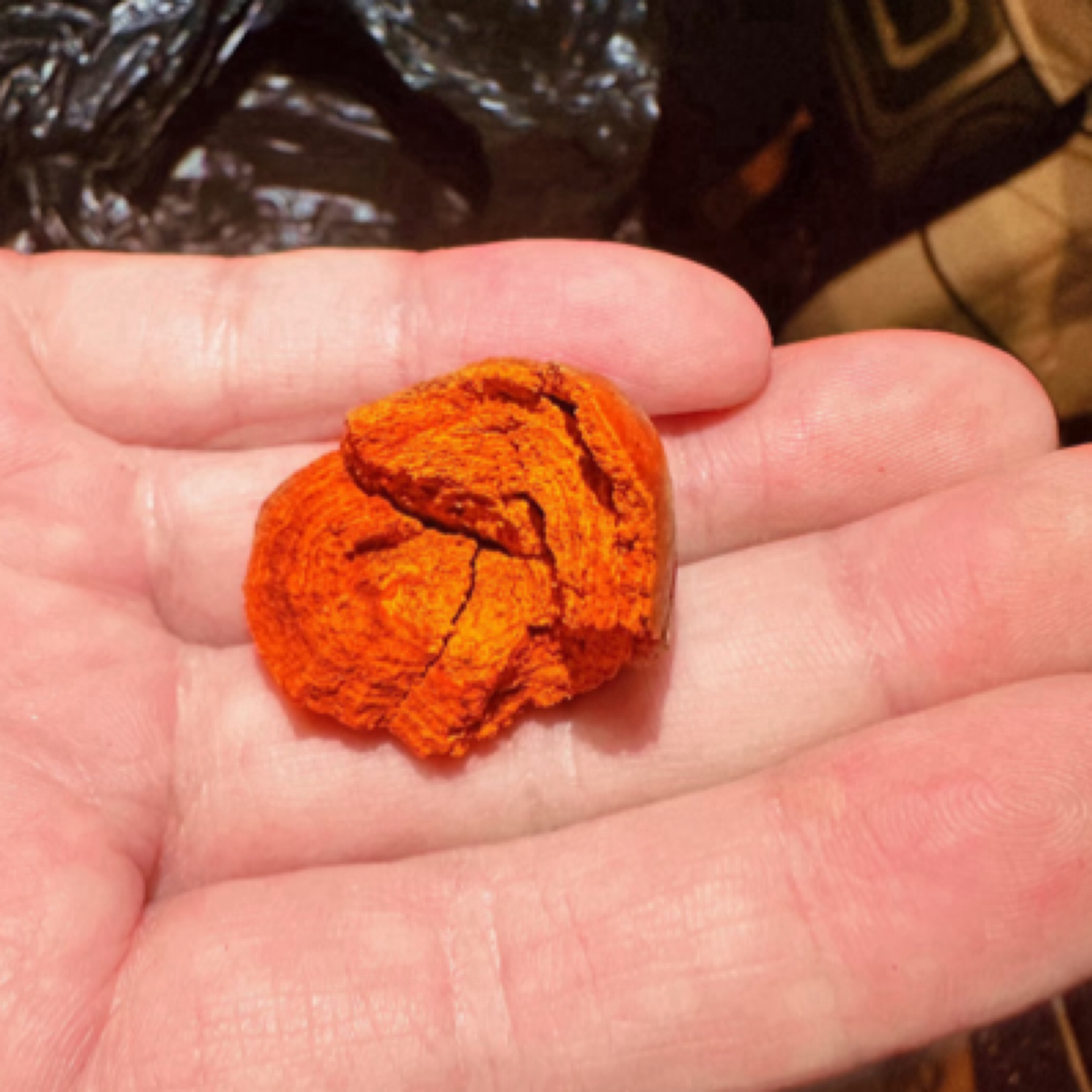 （临-时-链-接）-鍠-非-干-货
