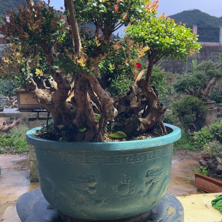 俗***人无花朵好好用了自己也