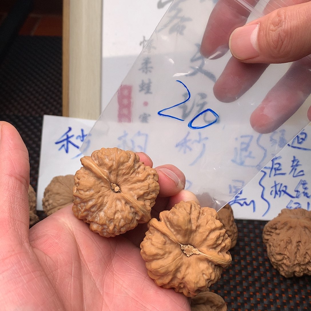 文玩核桃把件八方客文玩1111111