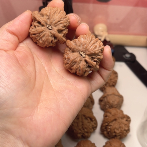 茶***多吊坠文玩核桃小众