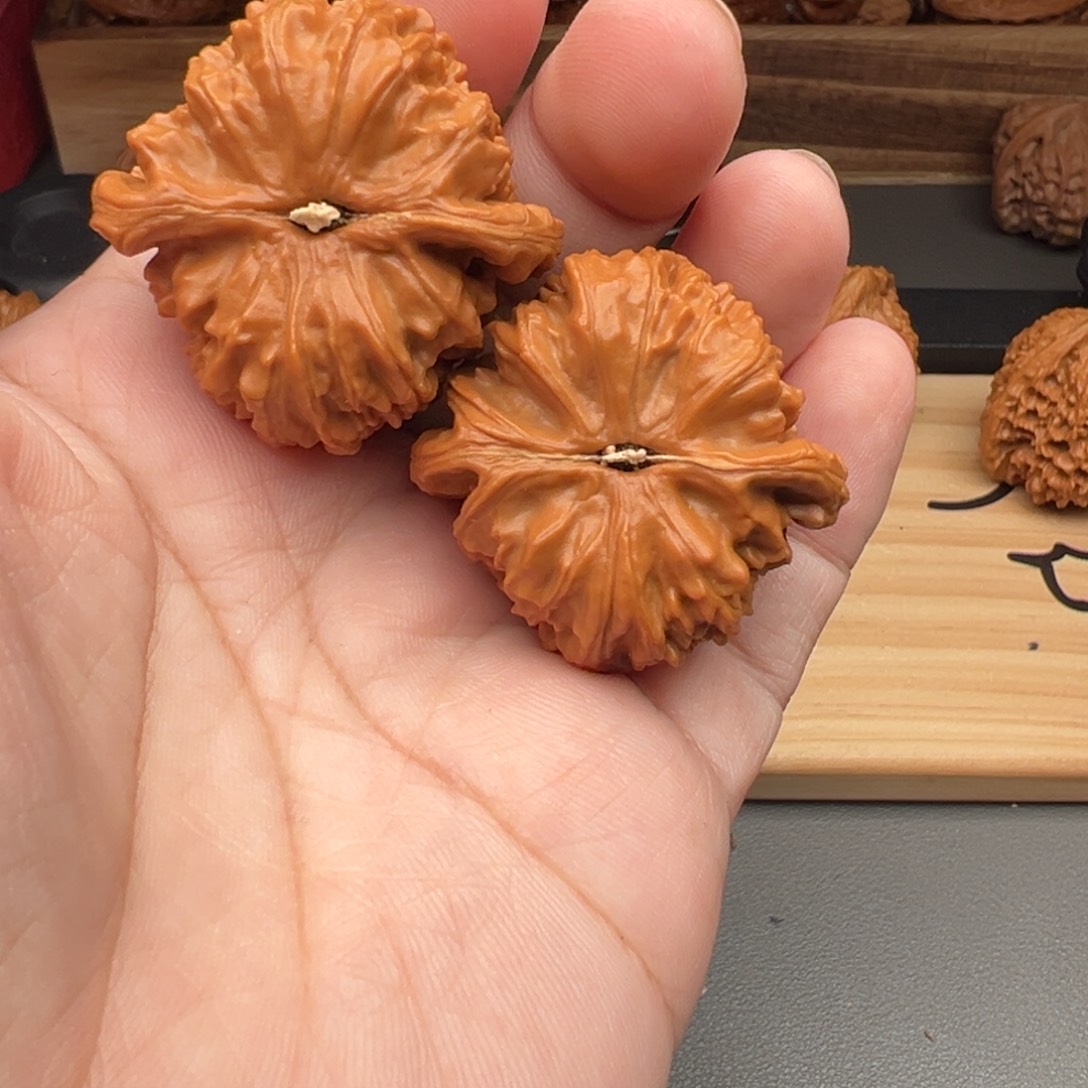 来***粉文玩核桃把件白狮子