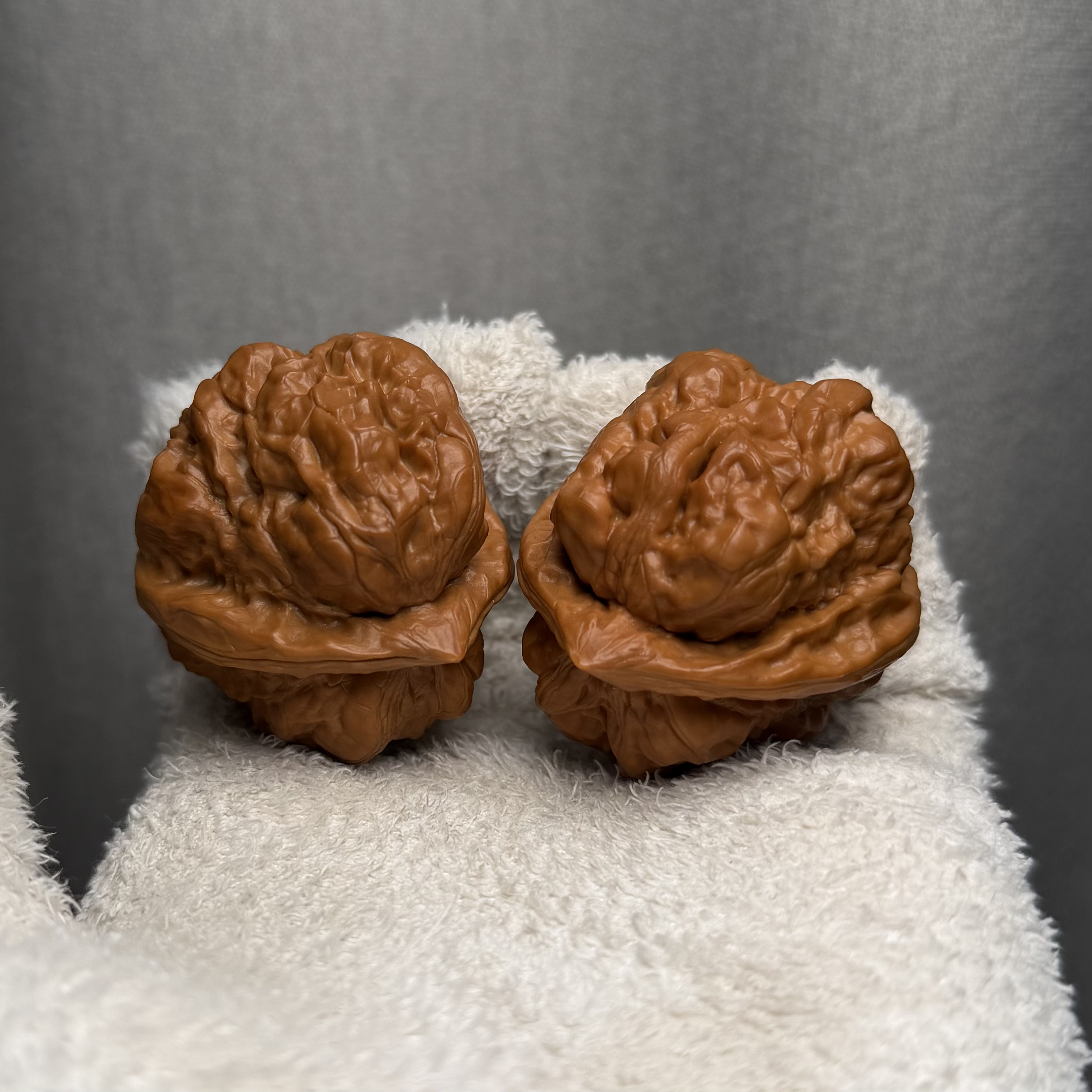 40尺精品三角箭毒蛙