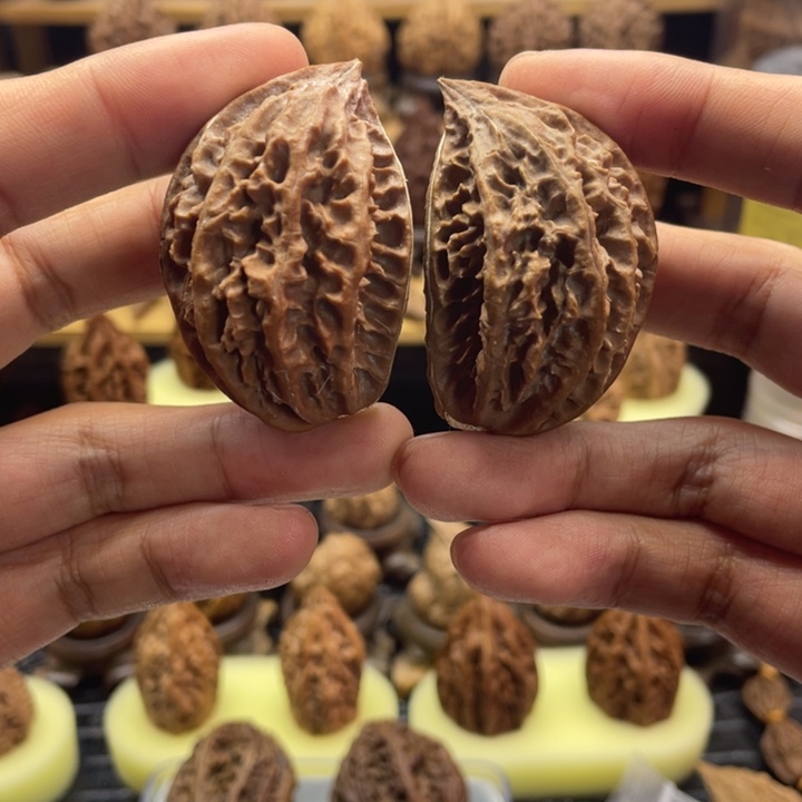 H***文玩核桃把件楸子